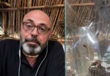 Vespa Orientalis in espansione: i pericoli per l’uomo | Con Andrea Lunerti