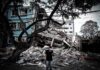 Si possono prevedere i terremoti? Lo strano caso del 1975 | Con Mario Tozzi Si possono prevedere i terremoti? Lo strano caso del 1975 | Con Mario Tozzi