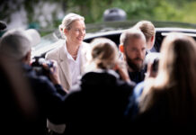 L’ultima verità sul successo di AfD che nessuno vuole sentire